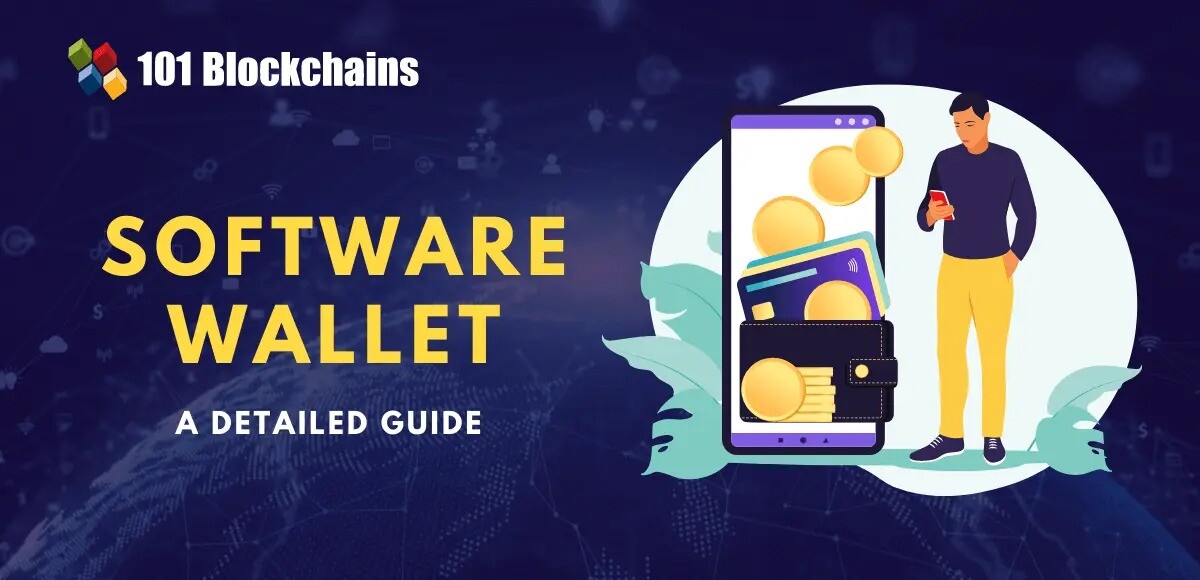 What is Software Wallet? what is software wallet