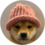 Dogwifhat