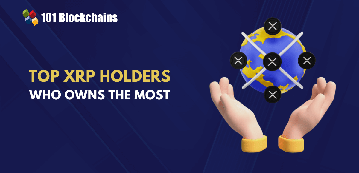 Top XRP Holders and Ownership Distribution Top XRP Holders