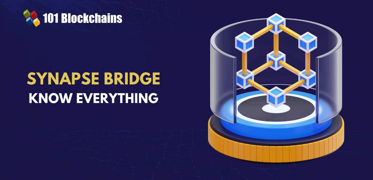 Synapse Bridge: The Leading Cross-Chain Solution synapse bridge crypto